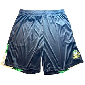 Oregon Ducks‎ Basketball Shorts Mens Size Large Athletic Black Green